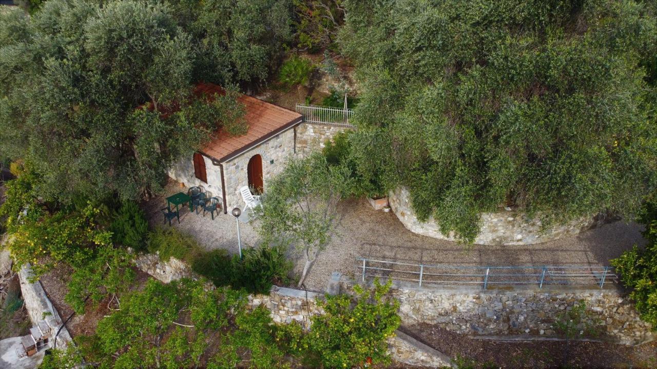 U Ciousu By Ligurian Life Appartamenti In Agriturismo Vallebona Bagian luar foto