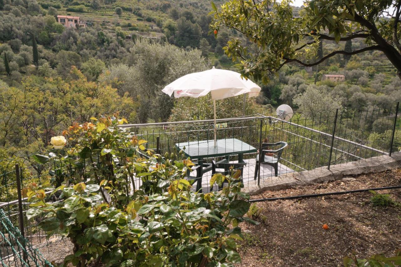 U Ciousu By Ligurian Life Appartamenti In Agriturismo Vallebona Bagian luar foto