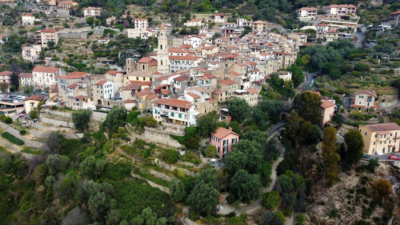 U Ciousu By Ligurian Life Appartamenti In Agriturismo Vallebona Bagian luar foto